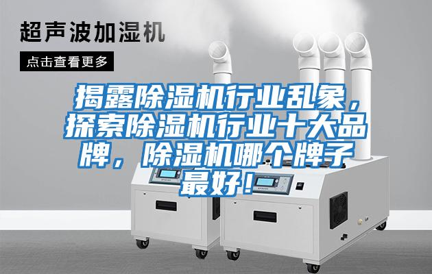 揭露除濕機行業亂象，探索除濕機行業十大品牌，除濕機哪個牌子最好！
