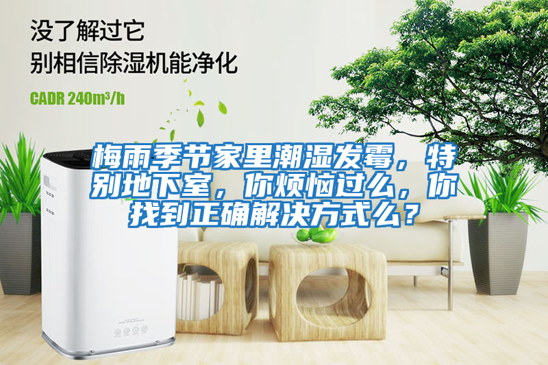 梅雨季節(jié)家里潮濕發(fā)霉，特別地下室，你煩惱過么，你找到正確解決方式么？
