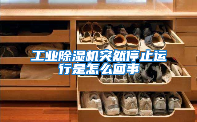 工業除濕機突然停止運行是怎么回事