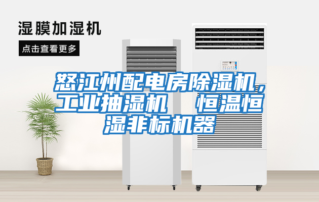 怒江州配電房除濕機，工業抽濕機  恒溫恒濕非標機器