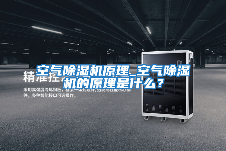 空氣除濕機原理_空氣除濕機的原理是什么？