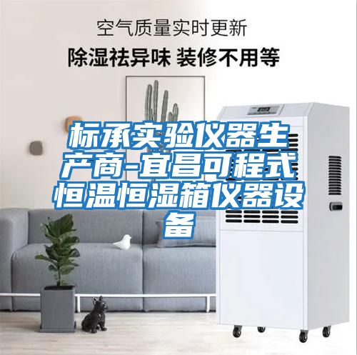 標承實驗儀器生產商-宜昌可程式恒溫恒濕箱儀器設備