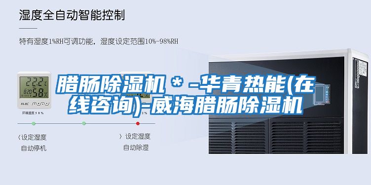 臘腸除濕機(jī)＊-華青熱能(在線咨詢(xún))-威海臘腸除濕機(jī)