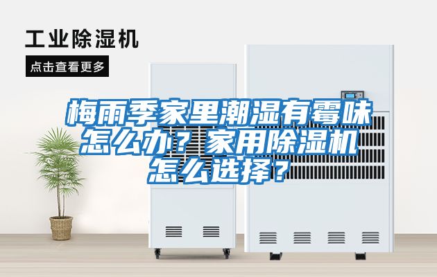 梅雨季家里潮濕有霉味怎么辦？家用除濕機怎么選擇？