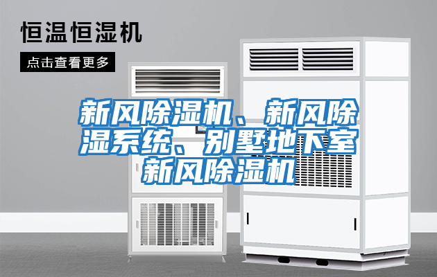 新風除濕機、新風除濕系統(tǒng)、別墅地下室新風除濕機