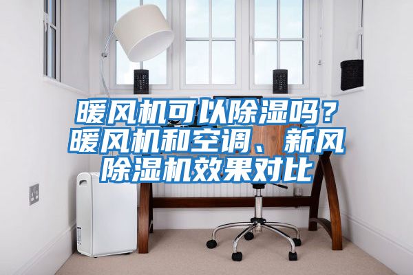 暖風機可以除濕嗎？暖風機和空調、新風除濕機效果對比
