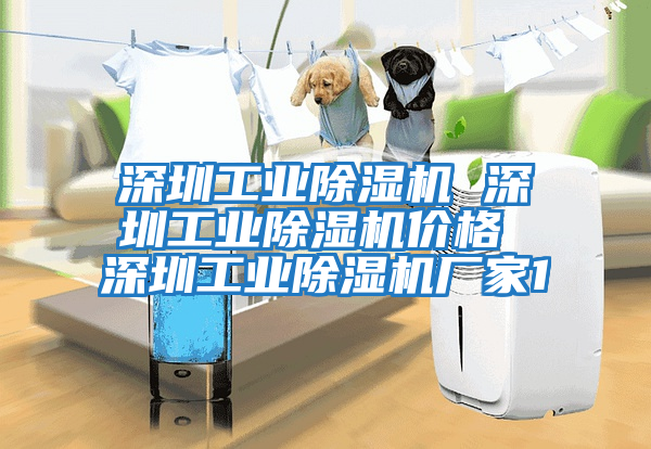 深圳工業除濕機 深圳工業除濕機價格 深圳工業除濕機廠家1