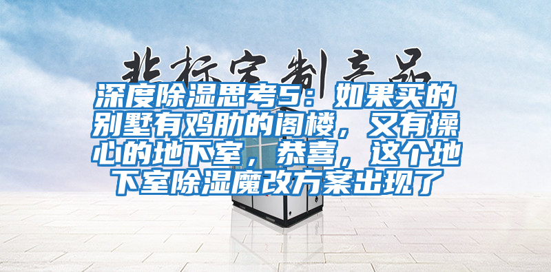深度除濕思考5：如果買的別墅有雞肋的閣樓，又有操心的地下室，恭喜，這個地下室除濕魔改方案出現了