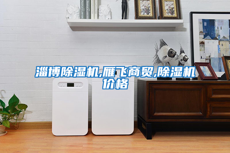 淄博除濕機,雁飛商貿,除濕機價格