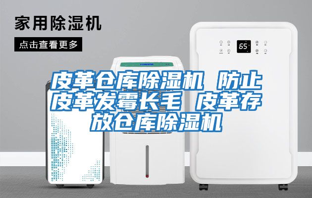 皮革倉庫除濕機 防止皮革發霉長毛 皮革存放倉庫除濕機