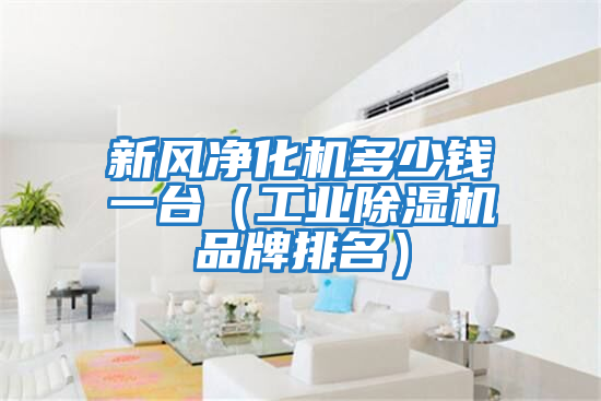 新風(fēng)凈化機(jī)多少錢(qián)一臺(tái)（工業(yè)除濕機(jī)品牌排名）