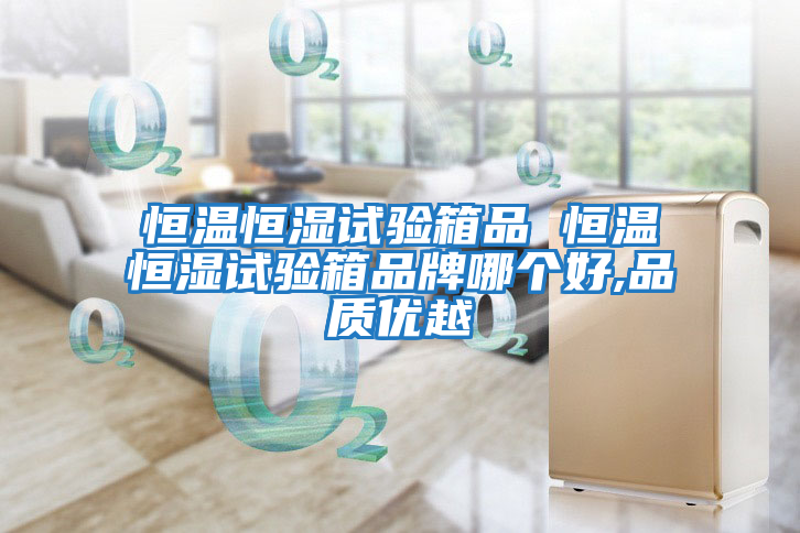 恒溫恒濕試驗箱品 恒溫恒濕試驗箱品牌哪個好,品質優越