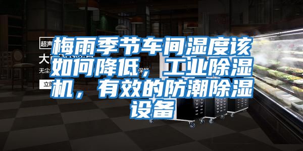 梅雨季節車間濕度該如何降低，工業除濕機，有效的防潮除濕設備