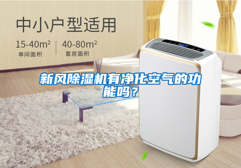 新風(fēng)除濕機(jī)有凈化空氣的功能嗎？