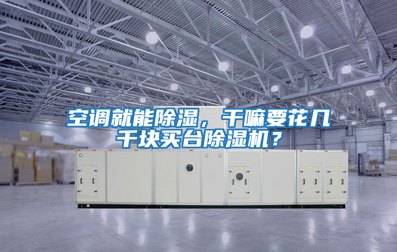 空調就能除濕，干嘛要花幾千塊買臺除濕機？