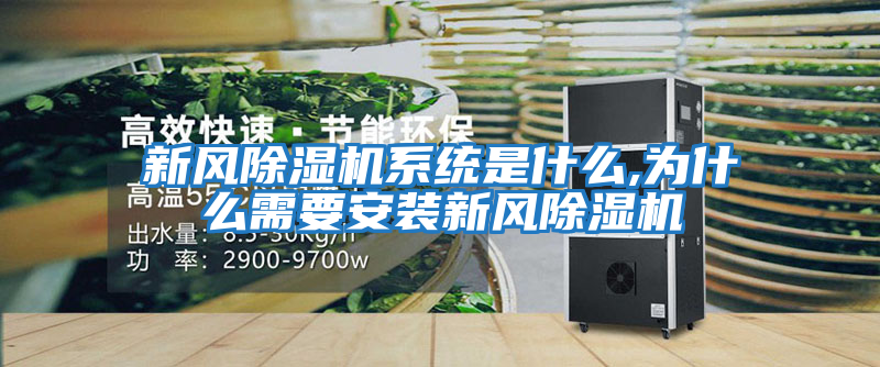 新風除濕機系統是什么,為什么需要安裝新風除濕機
