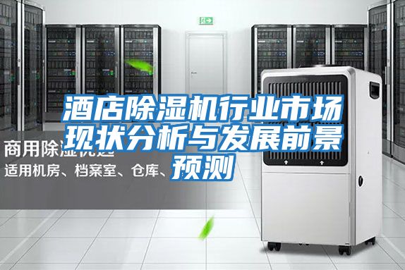 酒店除濕機行業市場現狀分析與發展前景預測