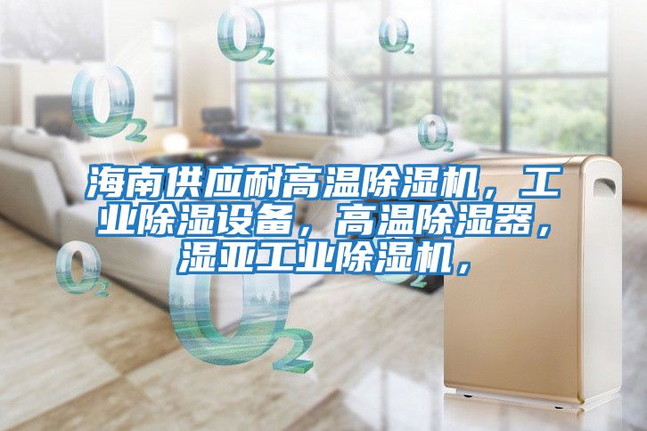 海南供應耐高溫除濕機，工業除濕設備，高溫除濕器，濕亞工業除濕機，