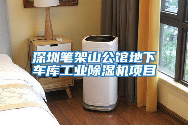 深圳筆架山公館地下車(chē)庫(kù)工業(yè)除濕機(jī)項(xiàng)目
