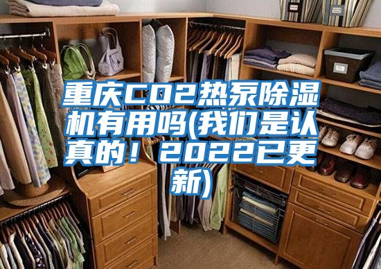 重慶CO2熱泵除濕機有用嗎(我們是認真的！2022已更新)