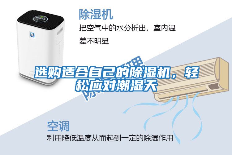 選購適合自己的除濕機，輕松應對潮濕天