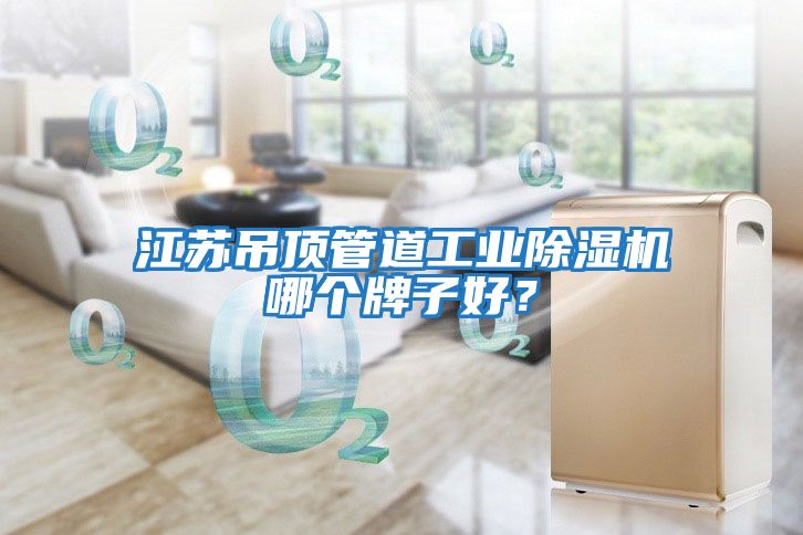 江蘇吊頂管道工業除濕機哪個牌子好？