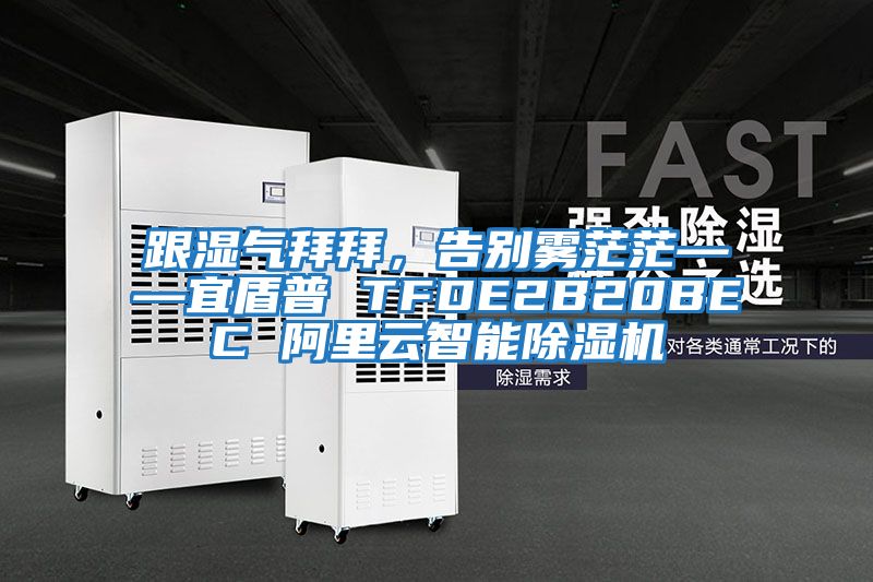 跟濕氣拜拜，告別霧茫茫——宜盾普 TFDE2B20BEC 阿里云智能除濕機(jī)