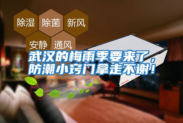 武漢的梅雨季要來了，防潮小竅門拿走不謝！