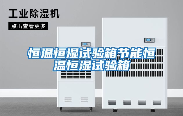 恒溫恒濕試驗箱節能恒溫恒濕試驗箱