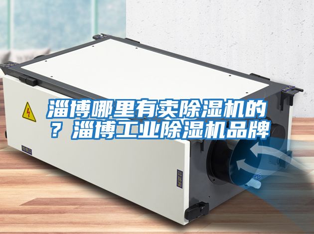 淄博哪里有賣(mài)除濕機(jī)的？淄博工業(yè)除濕機(jī)品牌