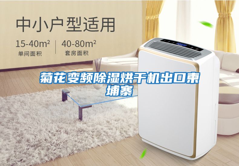 菊花變頻除濕烘干機出口柬埔寨