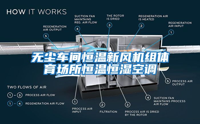 無塵車間恒溫新風(fēng)機組體育場所恒溫恒濕空調(diào)