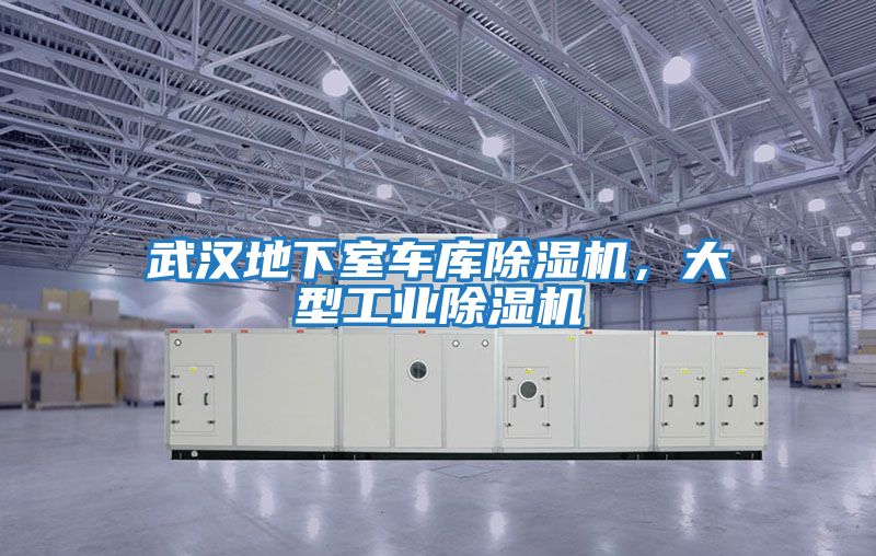 武漢地下室車(chē)庫(kù)除濕機(jī)，大型工業(yè)除濕機(jī)
