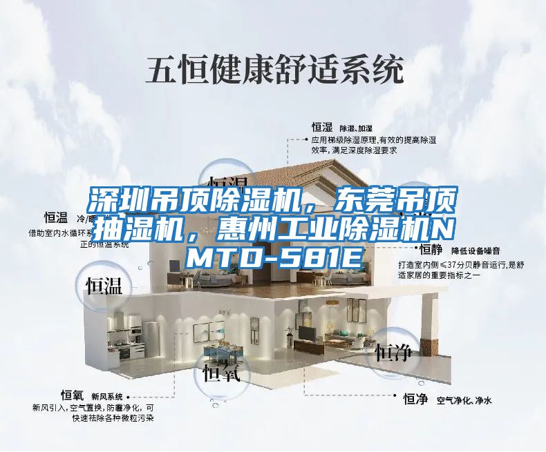 深圳吊頂除濕機(jī)，東莞吊頂抽濕機(jī)，惠州工業(yè)除濕機(jī)NMTD-581E