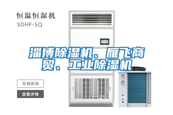 淄博除濕機(jī)、雁飛商貿(mào)、工業(yè)除濕機(jī)