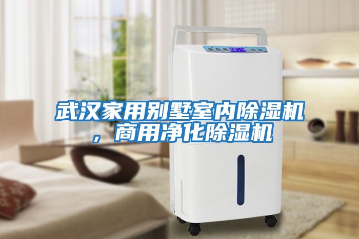 武漢家用別墅室內除濕機，商用凈化除濕機