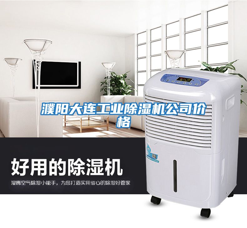 濮陽大連工業除濕機公司價格