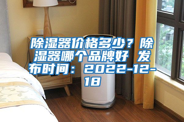 除濕器價格多少？除濕器哪個品牌好 發布時間：2022-12-18