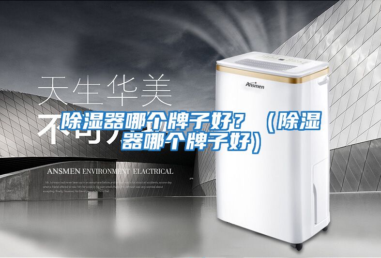 除濕器哪個牌子好？（除濕器哪個牌子好）