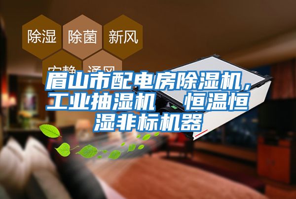 眉山市配電房除濕機，工業抽濕機  恒溫恒濕非標機器