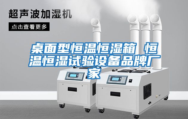 桌面型恒溫恒濕箱 恒溫恒濕試驗設備品牌廠家