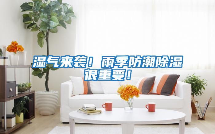 濕氣來(lái)襲！雨季防潮除濕很重要！