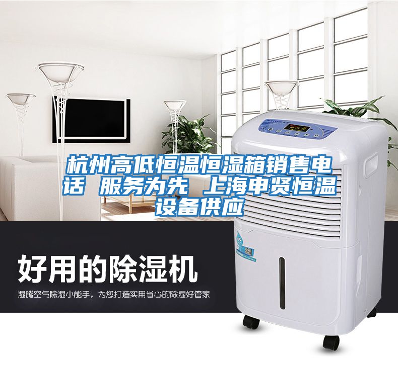 杭州高低恒溫恒濕箱銷售電話 服務為先 上海申賢恒溫設備供應