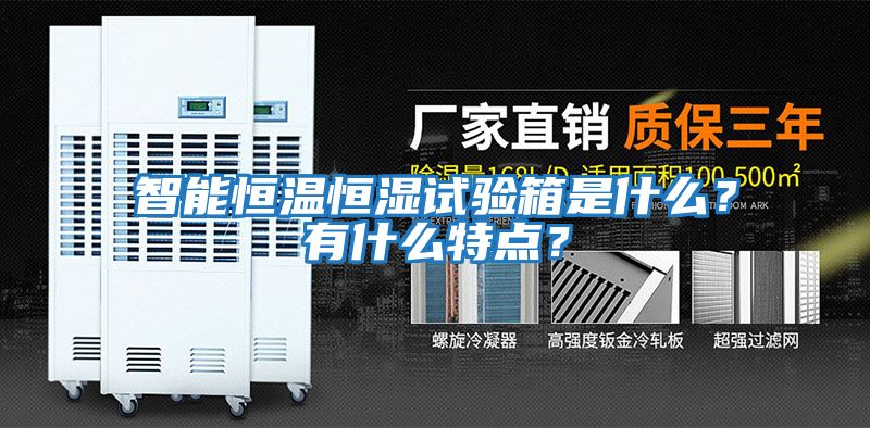 智能恒溫恒濕試驗(yàn)箱是什么？有什么特點(diǎn)？