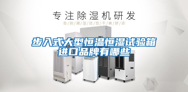 步入式大型恒溫恒濕試驗箱進口品牌有哪些