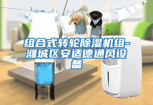 組合式轉輪除濕機組-濰城區安適德通風設備