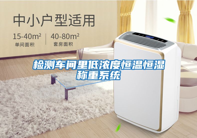 檢測車間里低濃度恒溫恒濕稱重系統
