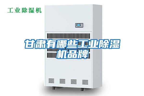 甘肅有哪些工業除濕機品牌