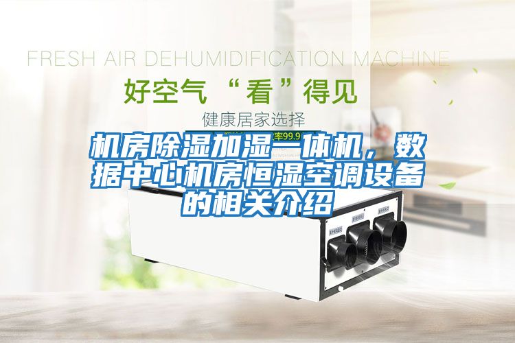 機房除濕加濕一體機，數據中心機房恒濕空調設備的相關介紹