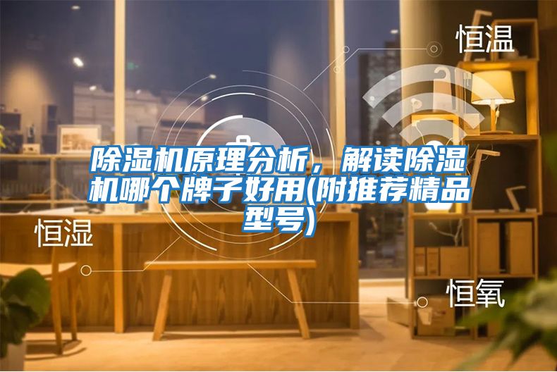 除濕機原理分析，解讀除濕機哪個牌子好用(附推薦精品型號)